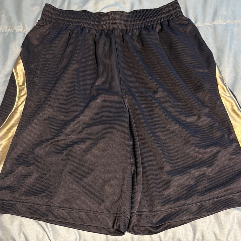 Nike Navy Blue and Silver  Athletic  (Basketball) Shorts with Elastic Waistband